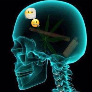 Meet your Posher, Brad